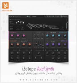 iZotope VocalSynth 2.6.1 free downloads